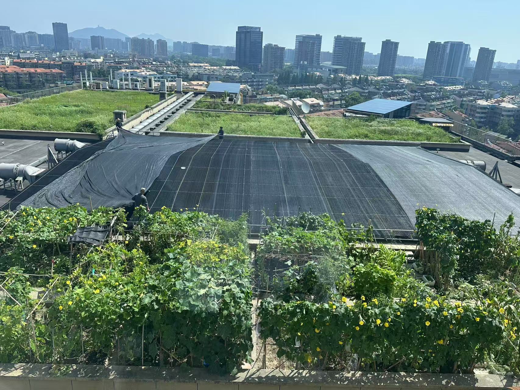 水晶城巧施」刳阳术“，为节能降耗注入清冷动力